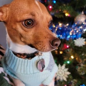 Meet your Posher, Susan